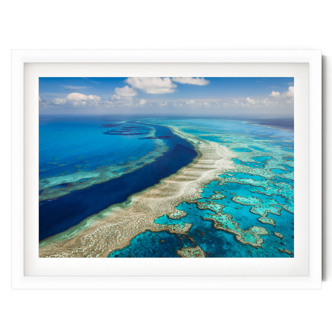 a stunning aerial view of a vibrant coral reef, showcasing the intricate and diverse marine life that thrives within its waters.
