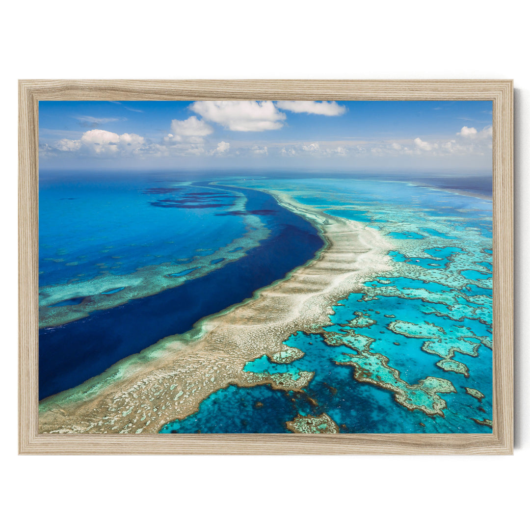 The image is a stunning aerial view of a vibrant coral reef, showcasing the intricate and diverse marine life that inhabits the area. The coral formations are a mix of blue, green, and white, creating a captivating underwater landscape. The clear blue sky with a few scattered clouds provides a beautiful backdrop to the colorful coral reef below. The image is framed and appears to be a high-quality, professional-looking photograph.