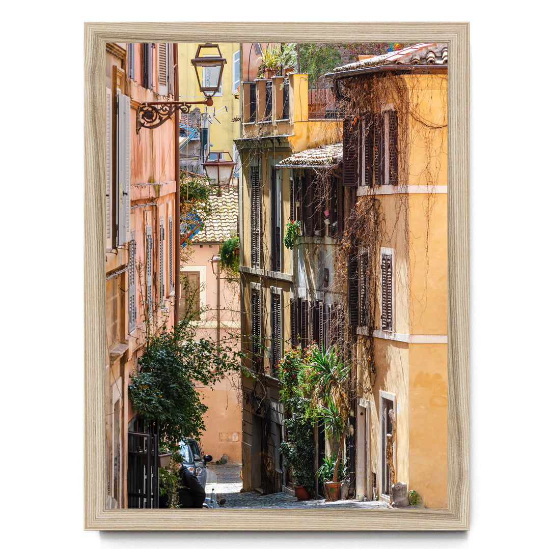 a narrow, charming street lined with colorful buildings, lush greenery, and a variety of potted plants.