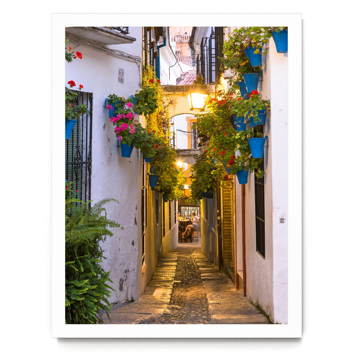 A narrow, cobblestone street lined with colorful flower pots and plants, creating a charming and picturesque scene.