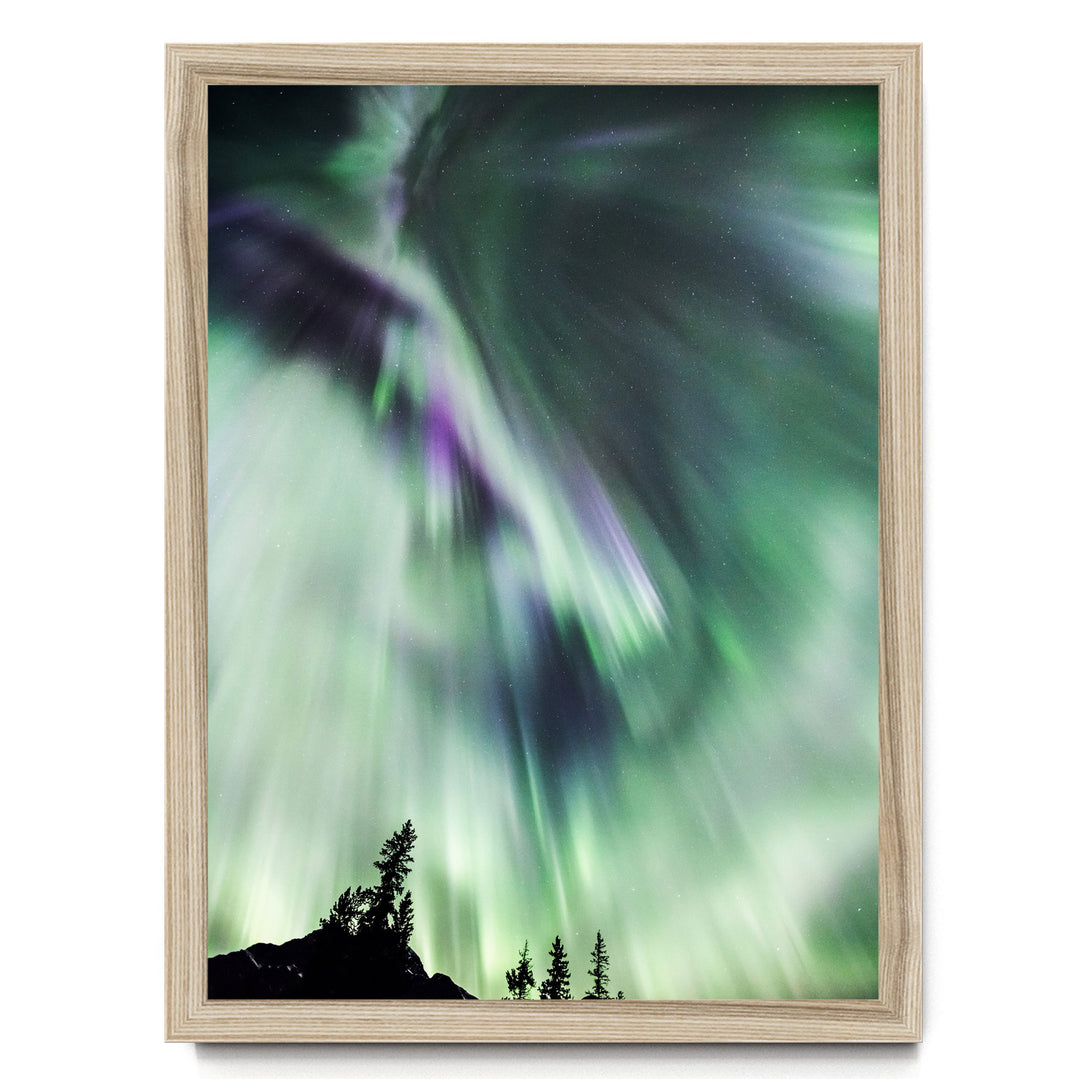 a stunning display of the Aurora Borealis, or Northern Lights, with vibrant green and purple hues swirling across the night sky. The silhouettes of trees can be seen in the background, adding a sense of depth and scale to the scene.