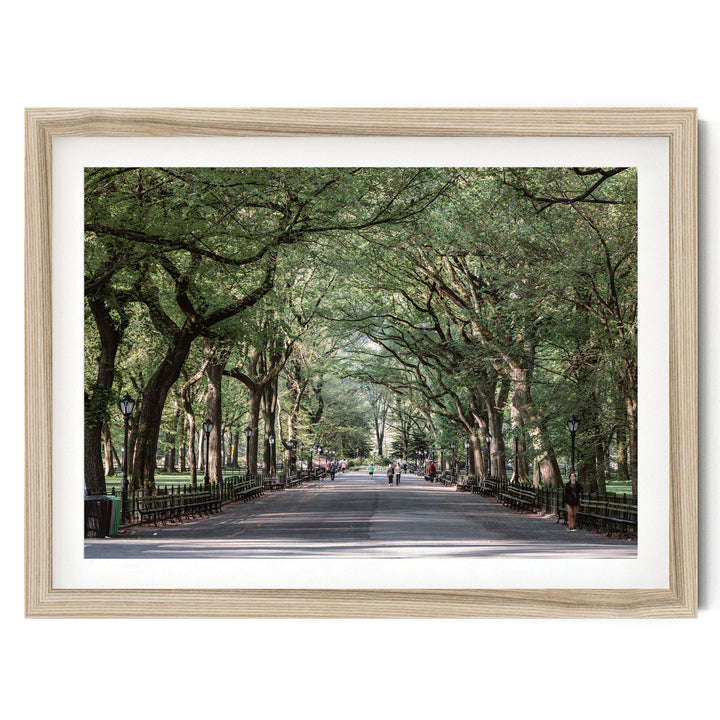 A tree-lined street with people walking along it, framed in a wooden frame.
