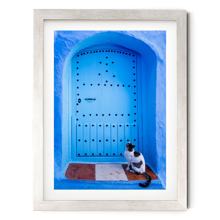 A black and white cat sits on a brown and white tile floor, gazing up at a blue door with a decorative archway.