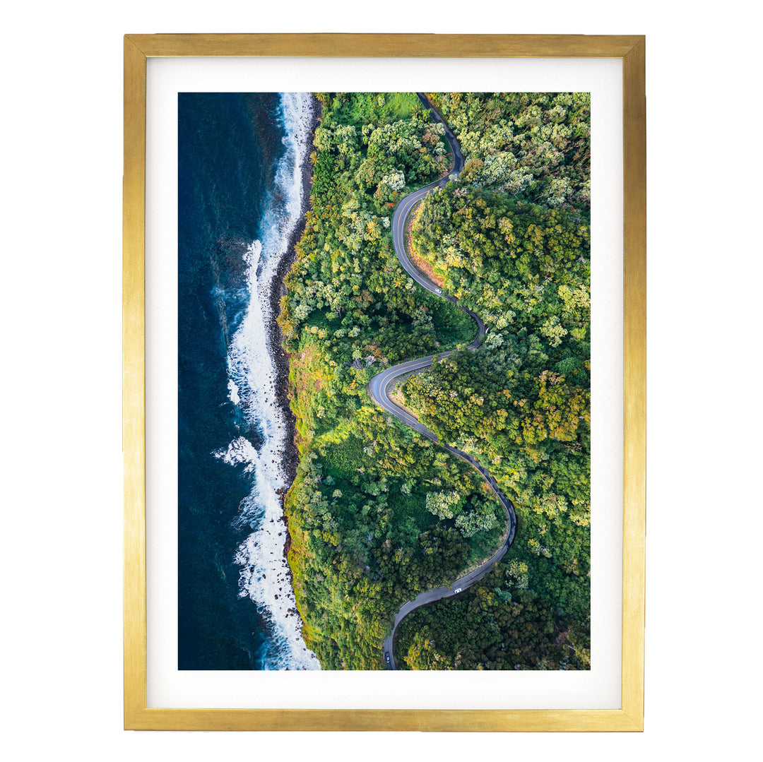 The image is an aerial view of a winding road cutting through a lush, green forest, with the ocean visible on the left side.