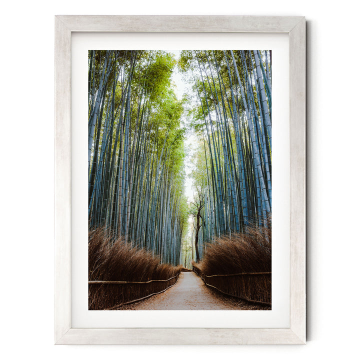 A serene bamboo forest path, lined with tall, slender green and brown bamboo stalks, leading the viewer's eye deeper into the tranquil scene.
