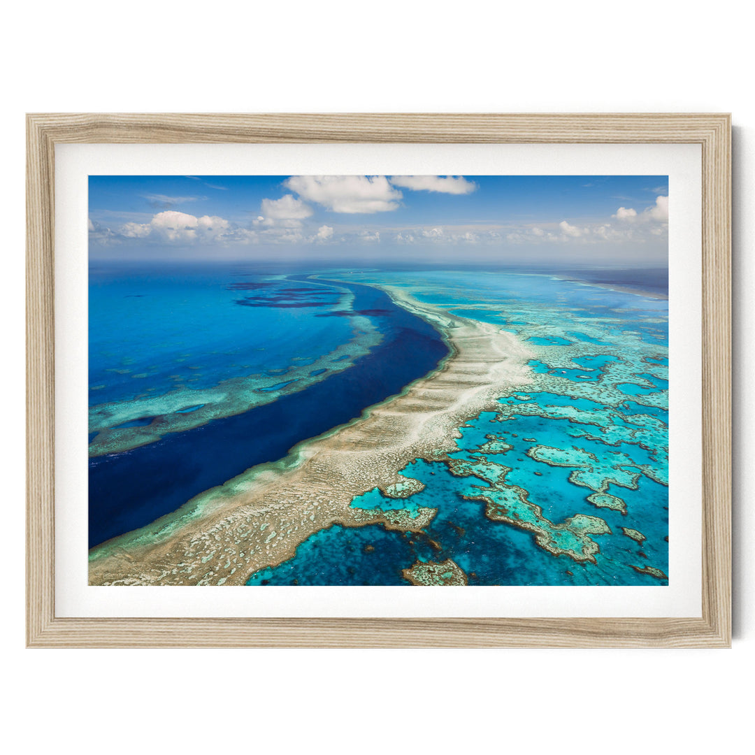 The image is a framed aerial view of a vibrant coral reef, showcasing the intricate and colorful underwater landscape.