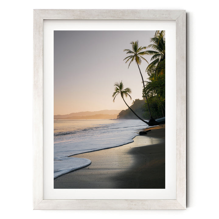 A serene beach scene with palm trees lining the shoreline, as the sun sets over the ocean.