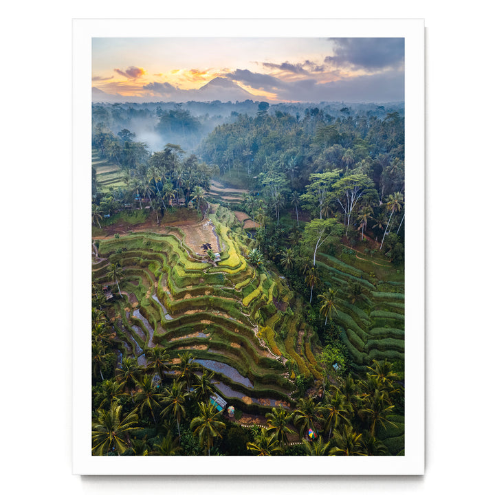 a lush, tropical landscape with terraced rice fields, palm trees, and a mountain in the distance, all bathed in the warm glow of a sunset.