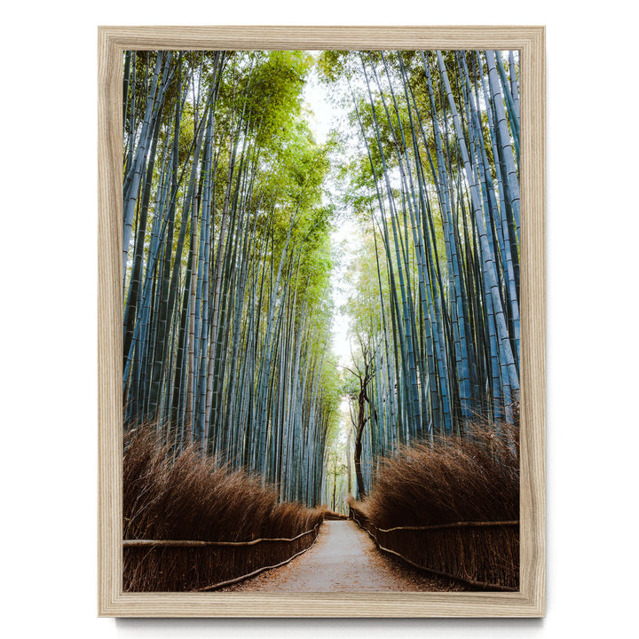 A serene bamboo forest path lined with tall, slender stalks of bamboo stretches into the distance, creating a natural corridor.