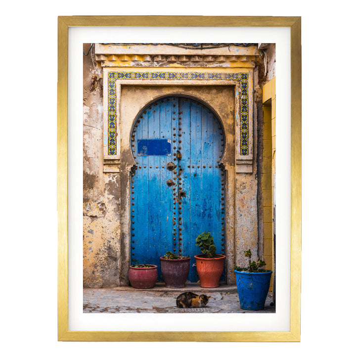 a blue wooden door with a decorative archway, flanked by three potted plants, and a cat resting on the ground in front of the door.