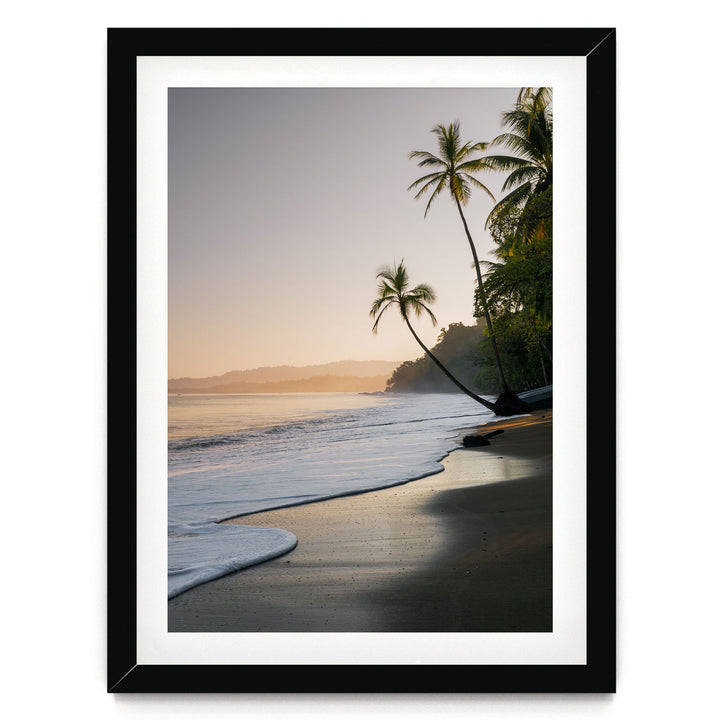 A serene beach scene at sunset, with palm trees lining the shore and the calm ocean gently lapping at the sand.