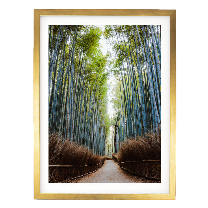 A serene bamboo forest path lined with tall, slender stalks and lush green foliage, leading the viewer's eye deeper into the tranquil scene.