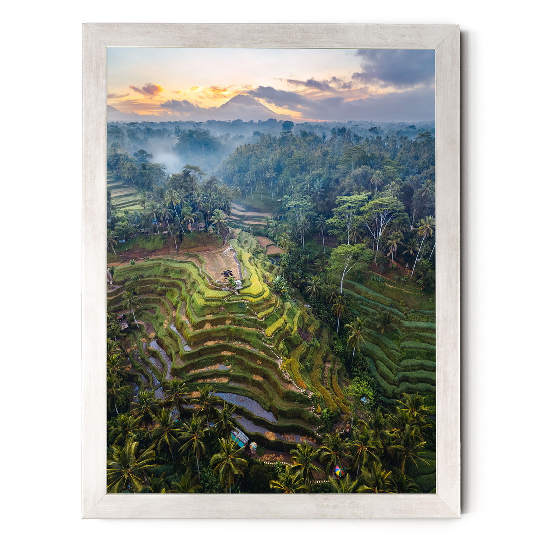 a lush, tropical landscape with terraced rice fields, palm trees, and a stunning sunset sky.