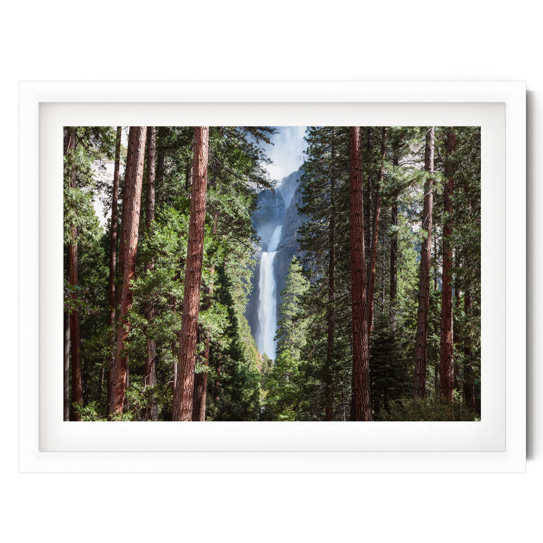 A framed photograph of a waterfall cascading through a dense forest of tall trees.