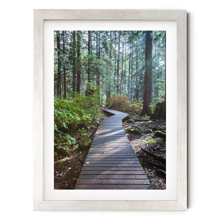 A wooden boardwalk winds through a lush, green forest, surrounded by tall trees and a carpet of fallen leaves.