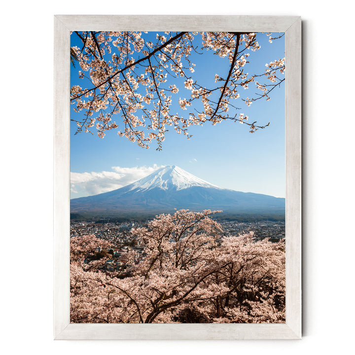 A framed photograph depicting a snow-capped mountain peak with cherry blossoms in full bloom, set against a clear blue sky.