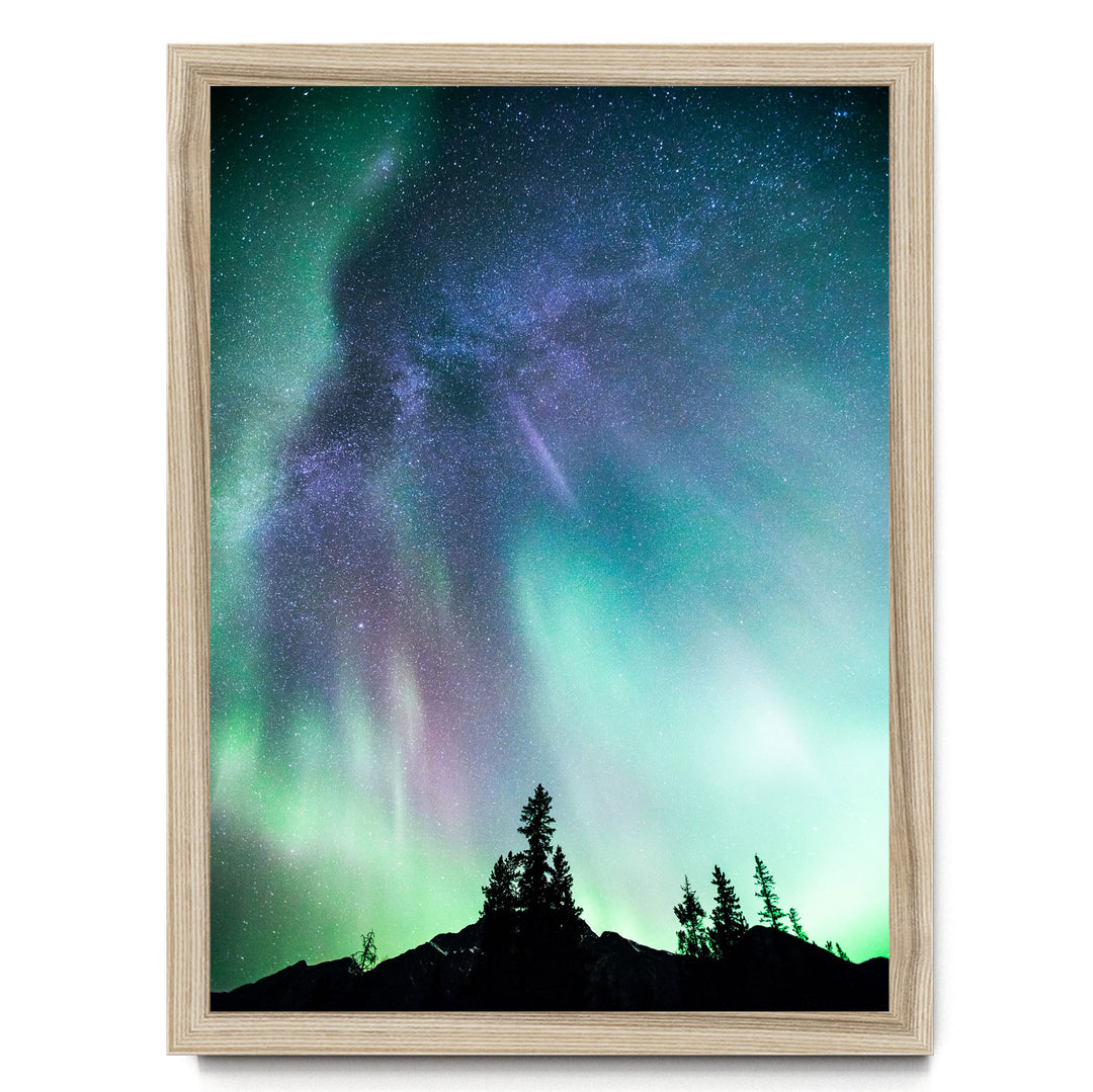 a stunning night sky with a vibrant display of the Aurora Borealis, or Northern Lights, illuminating the surrounding landscape. The silhouettes of trees can be seen in the foreground, adding a sense of depth and scale to the scene. The colors in the sky are a mix of green, blue, purple, and white, creating a mesmerizing and otherworldly atmosphere.