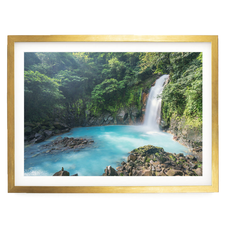 A serene waterfall cascades into a turquoise pool surrounded by lush, verdant foliage in a tranquil forest setting.