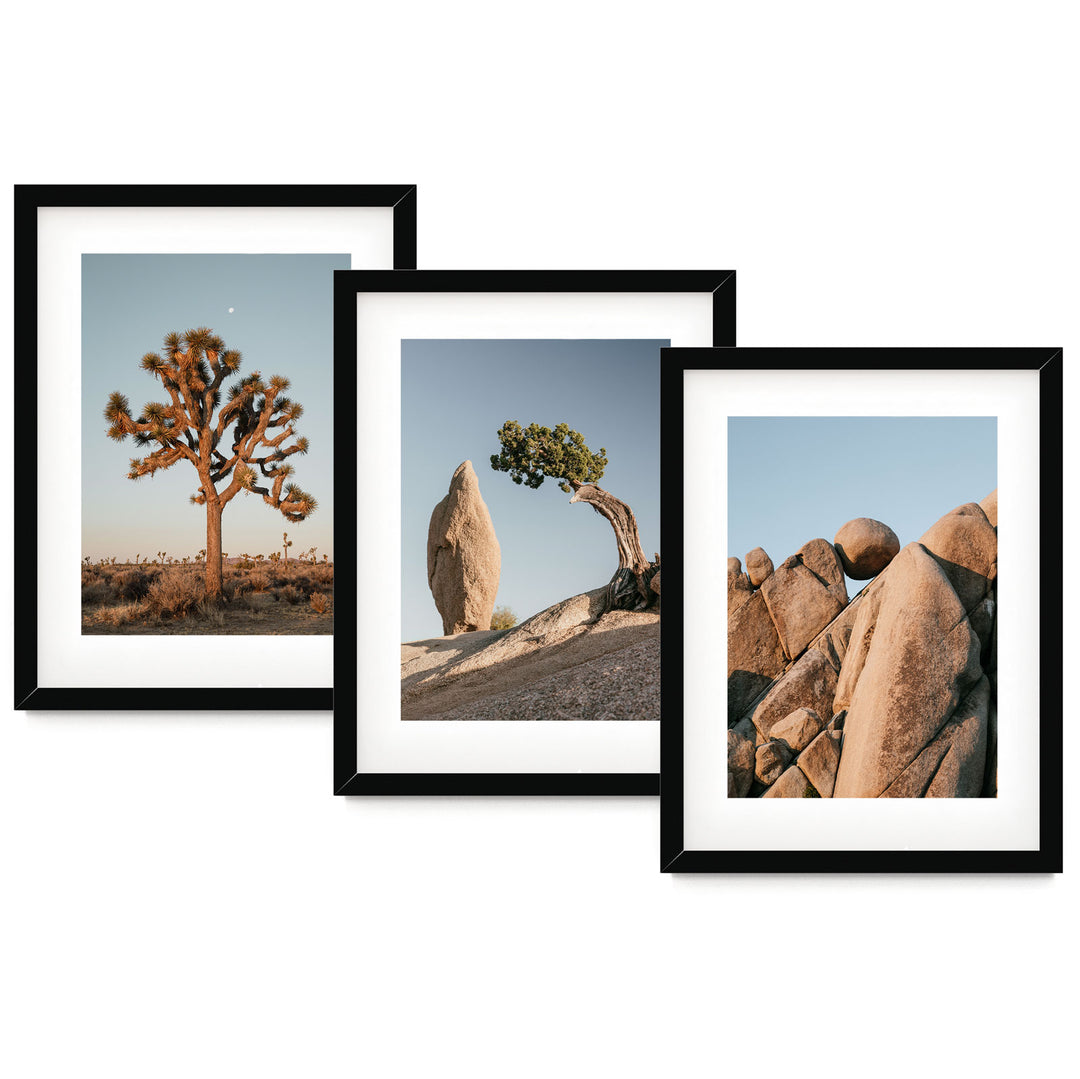 three framed photographs of rocks and a tree