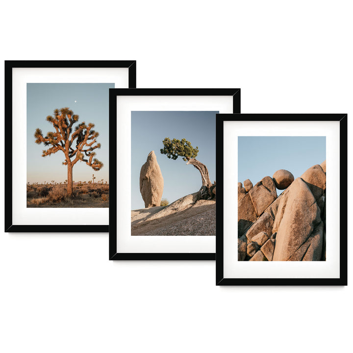 three framed photographs of rocks and a tree