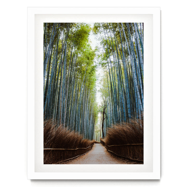 A path lined with tall, slender bamboo stalks leads through a serene forest, creating a sense of depth and tranquility.