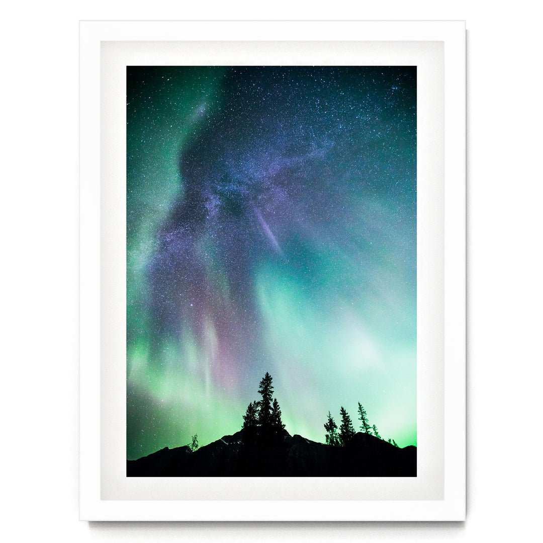 a stunning night sky with a vibrant display of the Aurora Borealis, or Northern Lights, illuminating the surrounding landscape. The silhouettes of trees can be seen in the foreground, adding a sense of depth and scale to the scene. The colors in the image are predominantly green, blue, and purple, creating a captivating and otherworldly atmosphere.