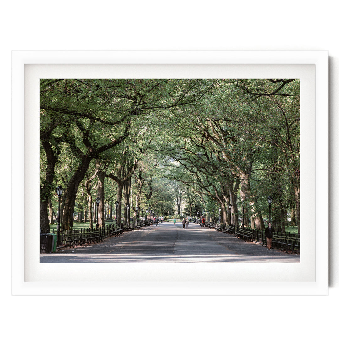 A tree-lined street with people walking along it, creating a serene and peaceful atmosphere.