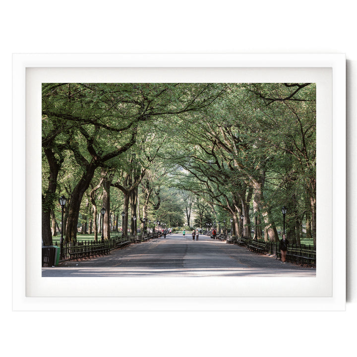 A tree-lined street with people walking along it, creating a serene and peaceful atmosphere.