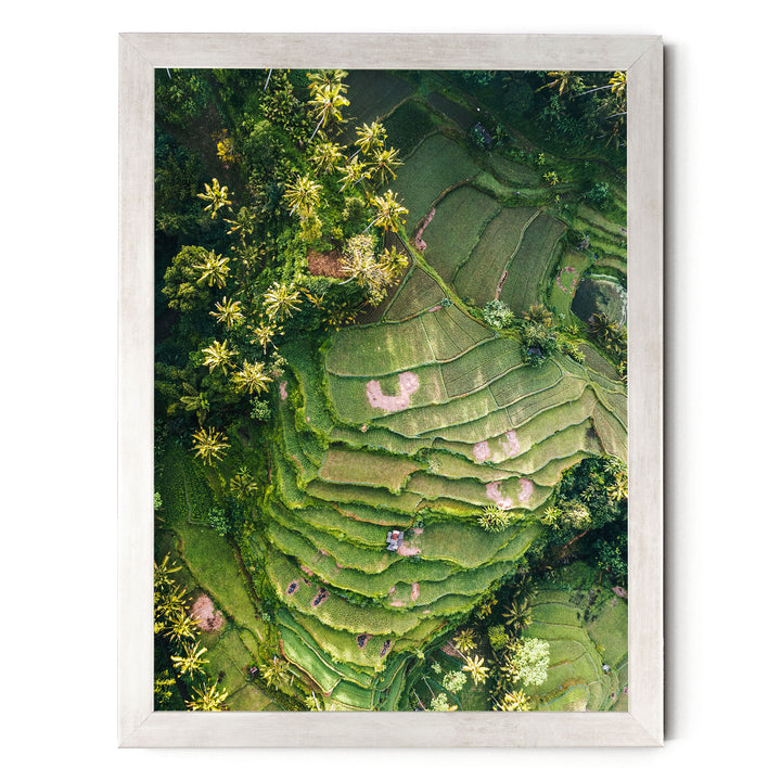 The image is an aerial view of a lush, green landscape with terraced fields and trees.