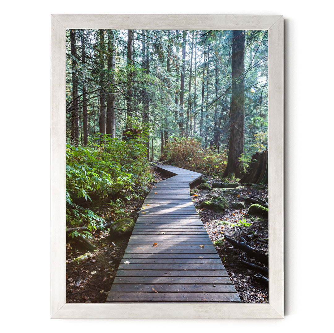 A wooden boardwalk winds through a lush, green forest, surrounded by tall trees and a carpet of fallen leaves.