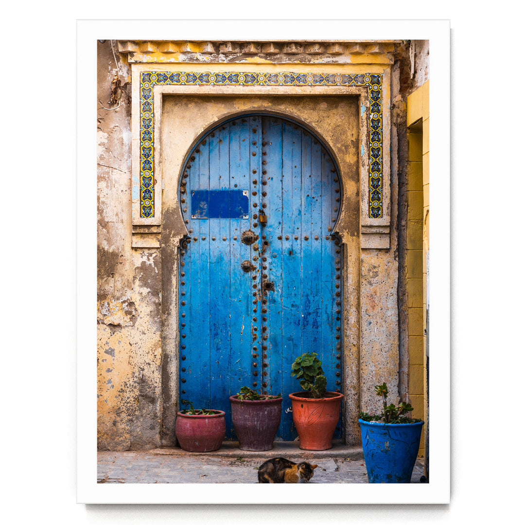a blue wooden door with a decorative archway, flanked by three potted plants in various colors, including red, orange, and blue. A cat is resting on the ground in front of the door.