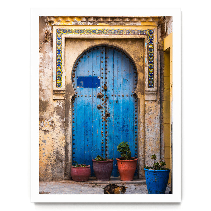 a blue wooden door with a decorative archway, flanked by three potted plants in various colors, including red, orange, and blue. A cat is resting on the ground in front of the door.