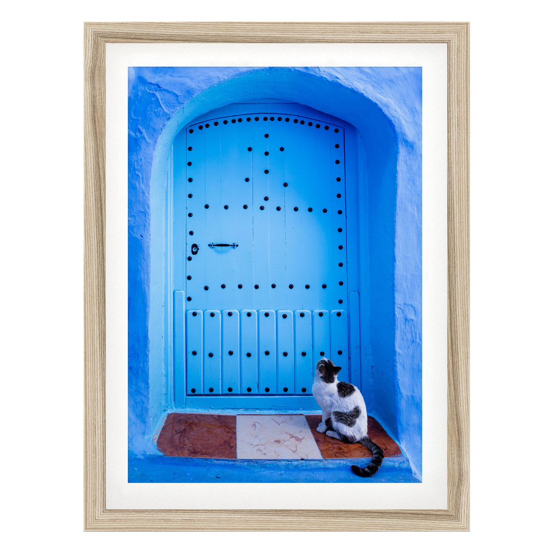 A black and white cat sits on a blue door with a decorative archway, gazing out into the distance.