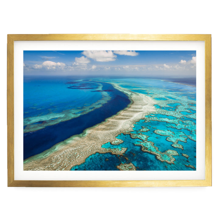 The image is a stunning aerial view of a vibrant coral reef, showcasing the intricate and diverse ecosystem beneath the ocean's surface.