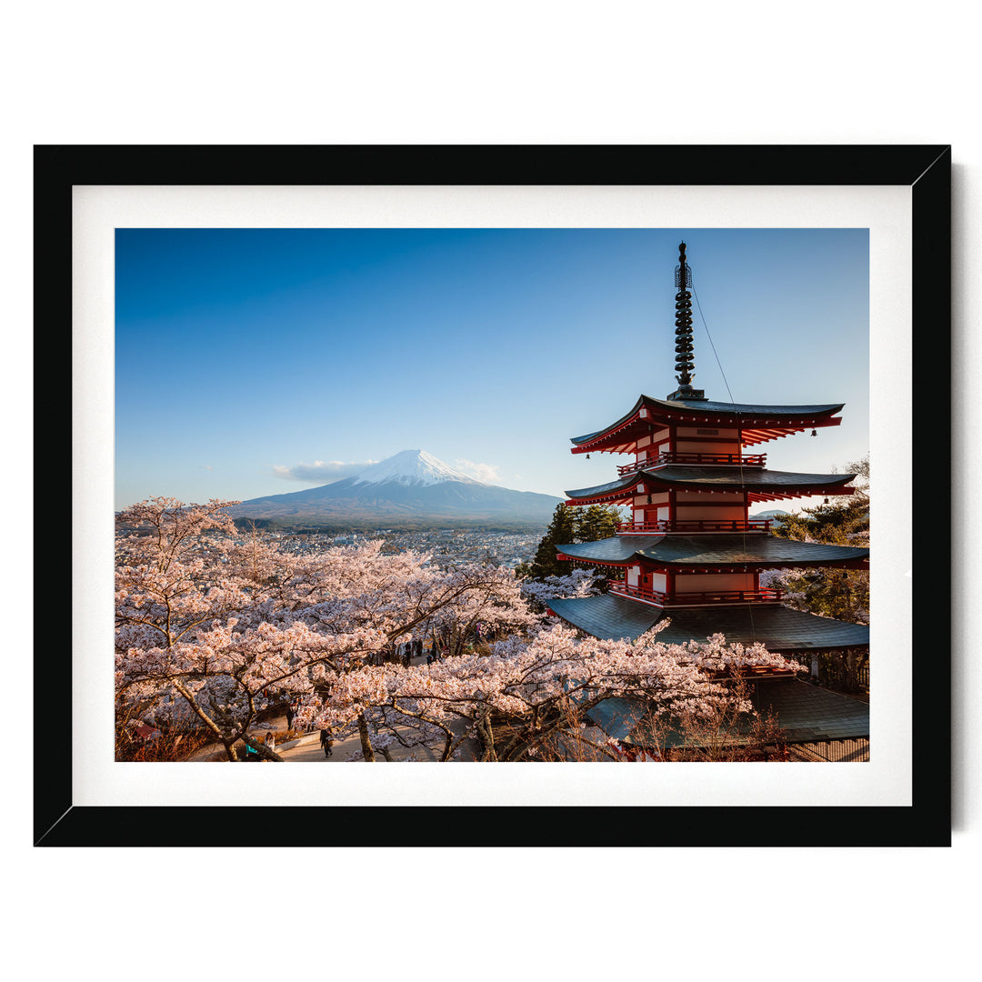 A framed photograph of a traditional Japanese pagoda overlooking a mountain with cherry blossoms in full bloom, set against a clear blue sky.