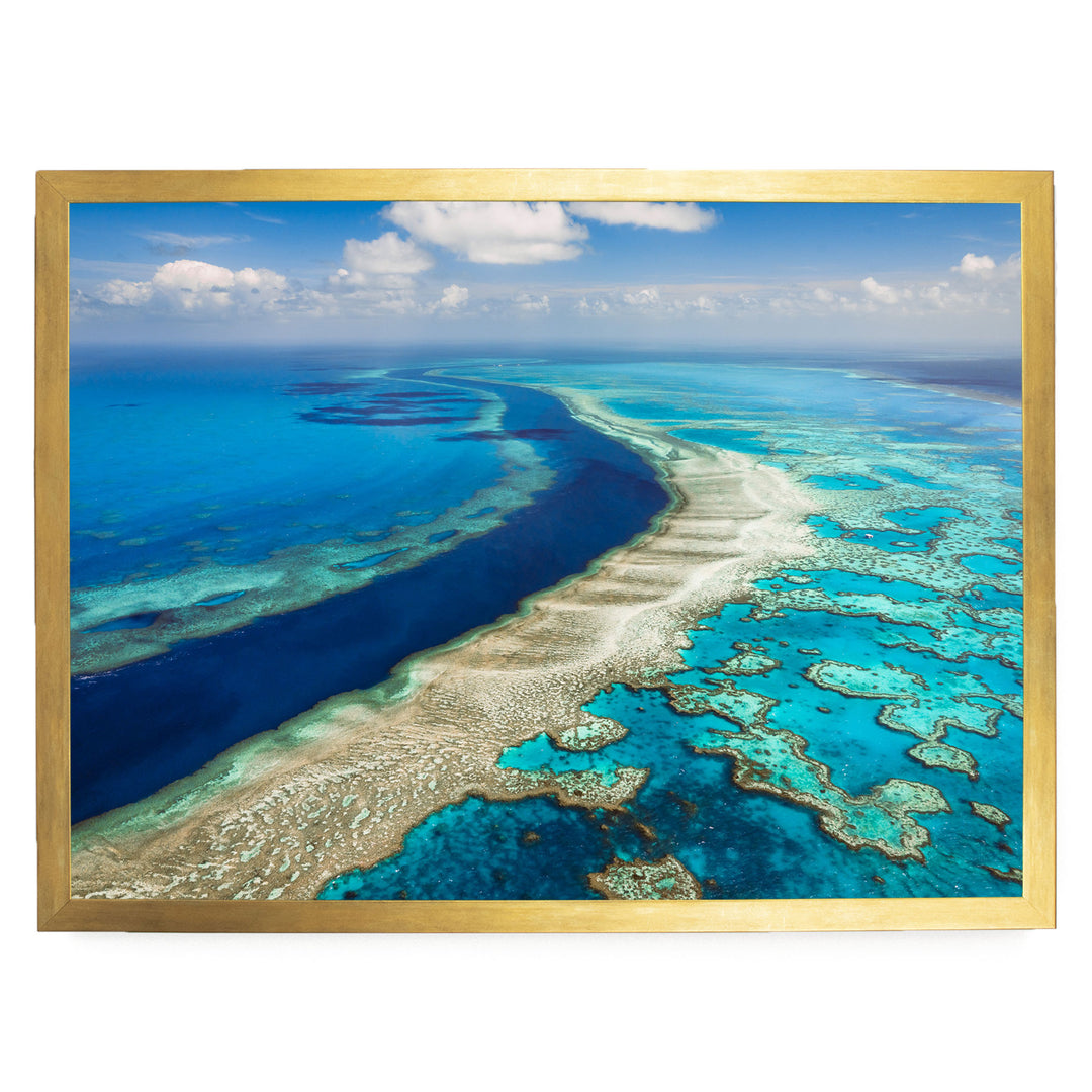 The image is a stunning aerial view of a vibrant coral reef, showcasing the intricate and diverse ecosystem beneath the ocean's surface.