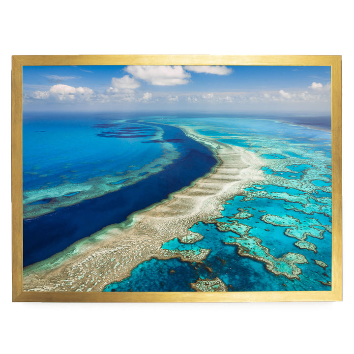 The image is a stunning aerial view of a vibrant coral reef, showcasing the intricate and diverse ecosystem beneath the ocean's surface.
