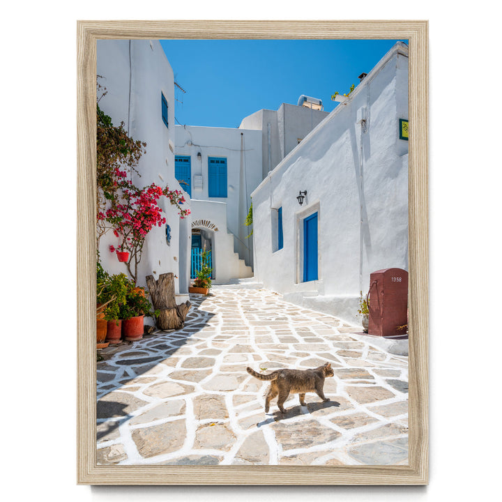 A stone-paved street in a Mediterranean village, with white buildings, blue shutters, and a cat walking along the path.