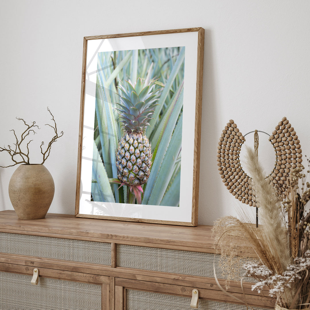 a framed photograph of a pineapple on a shelf, surrounded by decorative items such as a vase and a woven object.