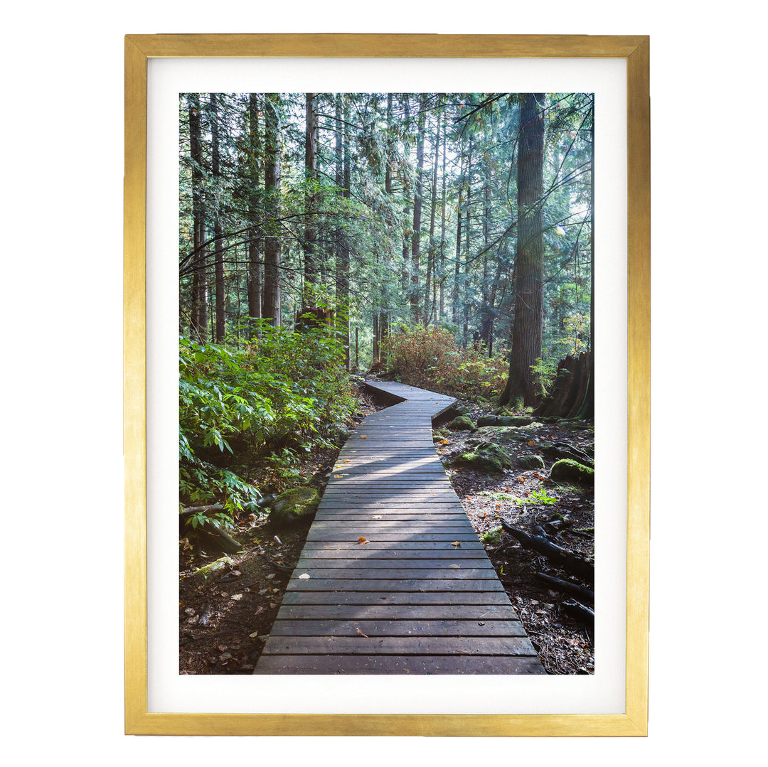A wooden boardwalk winds through a lush, green forest, surrounded by tall trees and a carpet of fallen leaves.
