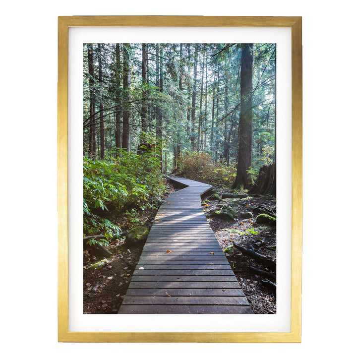A wooden boardwalk winds through a lush, green forest, surrounded by tall trees and a carpet of fallen leaves.