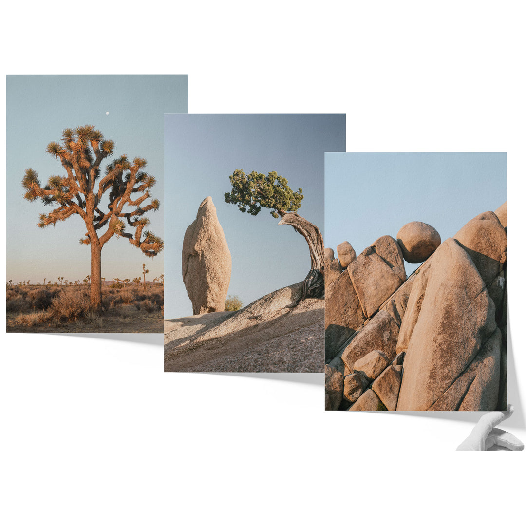 a series of three photographs of rocks and a tree