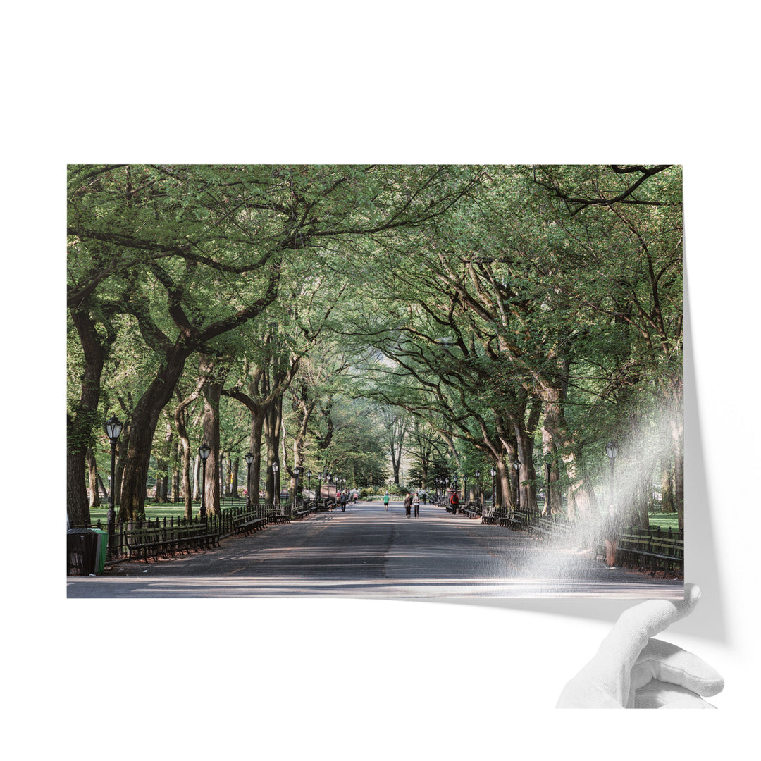 A tree-lined street with people walking along it, creating a serene and peaceful atmosphere.