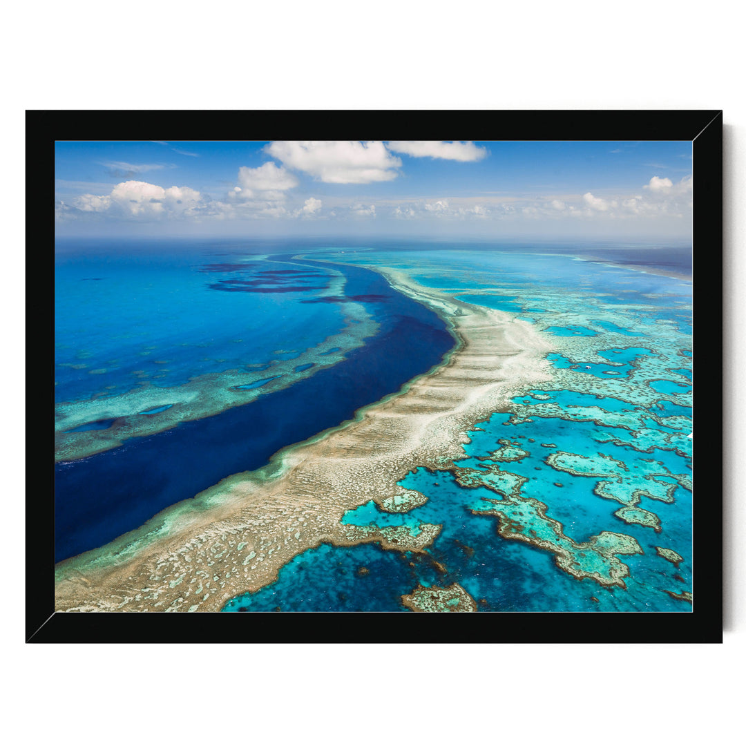 The image is a stunning aerial view of a vibrant coral reef, showcasing the intricate and diverse ecosystem beneath the ocean's surface.