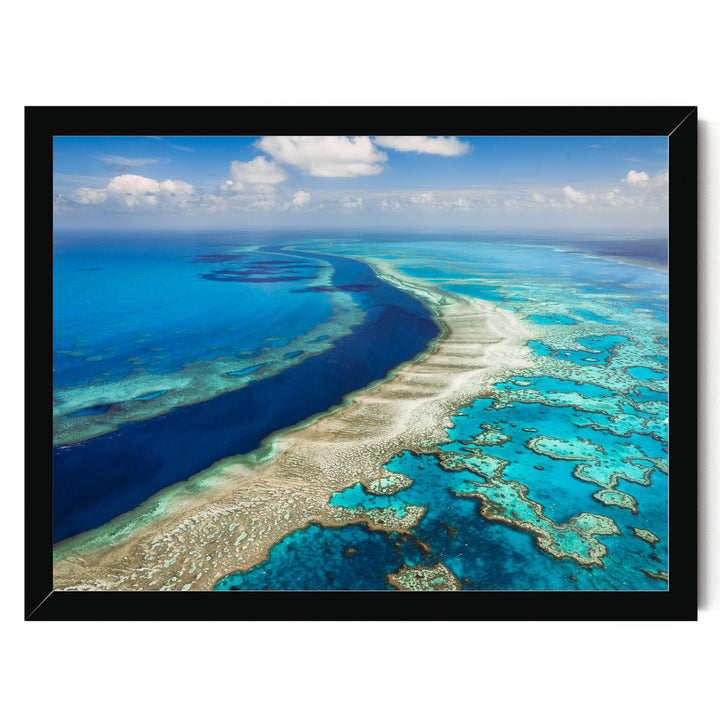 The image is a stunning aerial view of a vibrant coral reef, showcasing the intricate and diverse ecosystem beneath the ocean's surface.