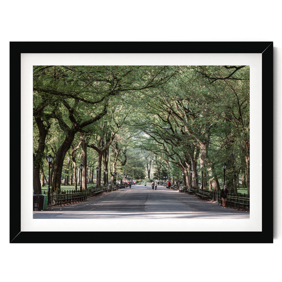 A tree-lined street with people walking along it, creating a serene and peaceful atmosphere.