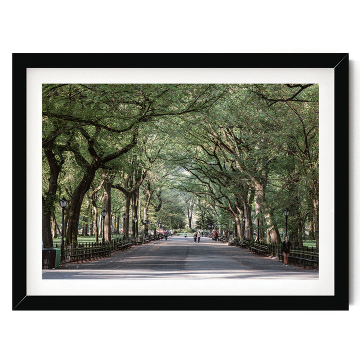 A tree-lined street with people walking along it, creating a serene and peaceful atmosphere.