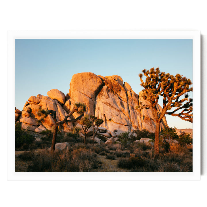 A desert landscape with a large rock formation in the background and a tree in the foreground, set against a clear blue sky.