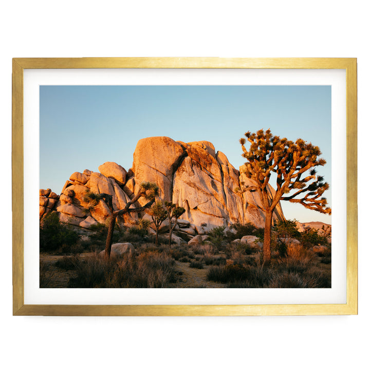 A framed photograph depicting a desert landscape with a large rock formation in the background and a tree in the foreground.