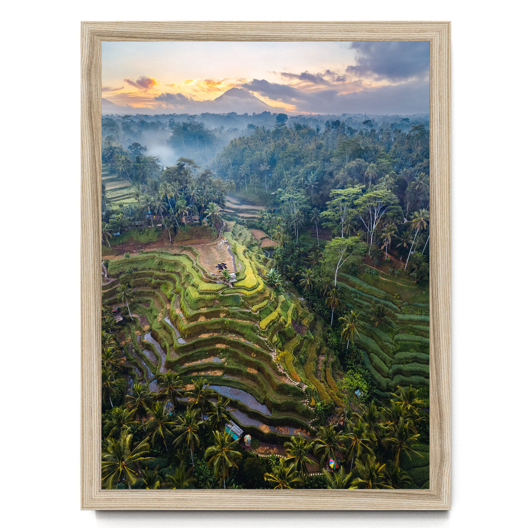 a lush, tropical landscape with terraced rice fields, palm trees, and a stunning sunset sky.